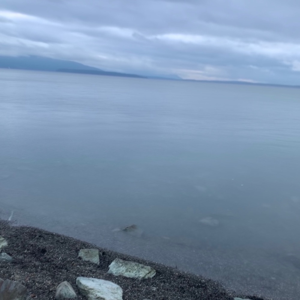 Meet your Posher, Chrisanthi